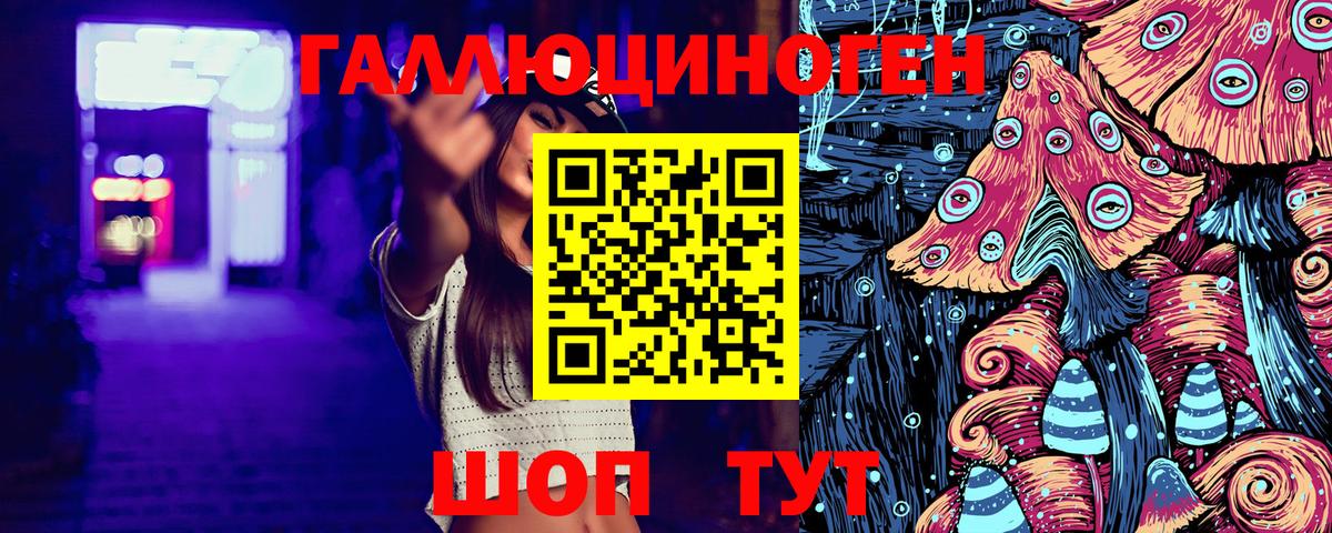 Курчалой  цена наркотик  Вход с VPN  Псилоцибиновые грибы Psilocybe 